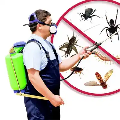 pest control Bryson City